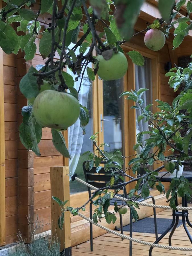 Apple House Villa Cetinje Ngoại thất bức ảnh