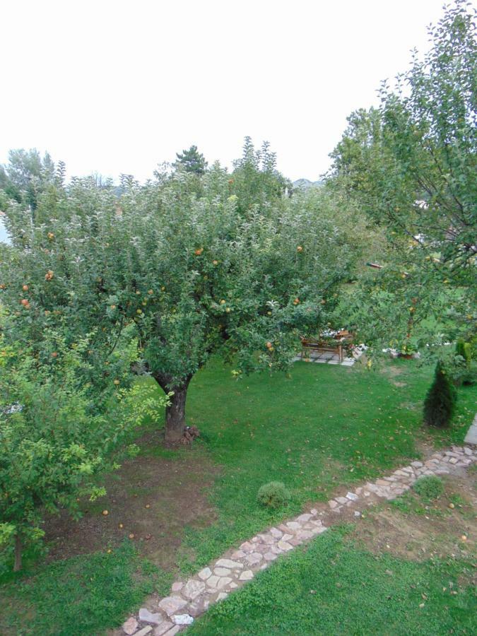 Apple House Villa Cetinje Ngoại thất bức ảnh