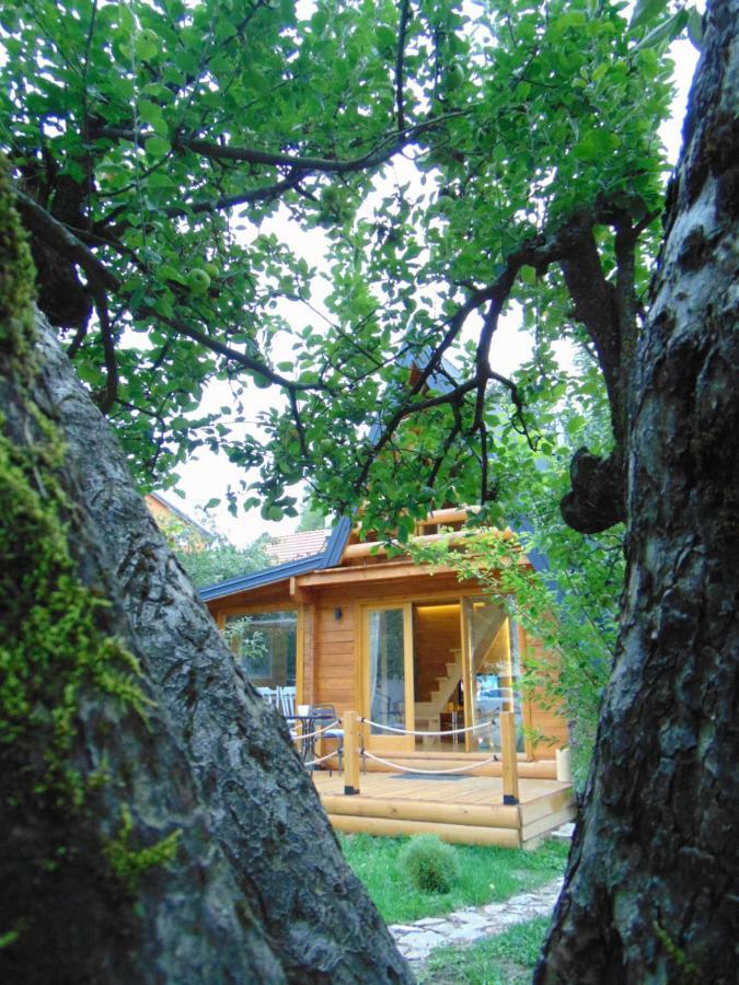 Apple House Villa Cetinje Ngoại thất bức ảnh